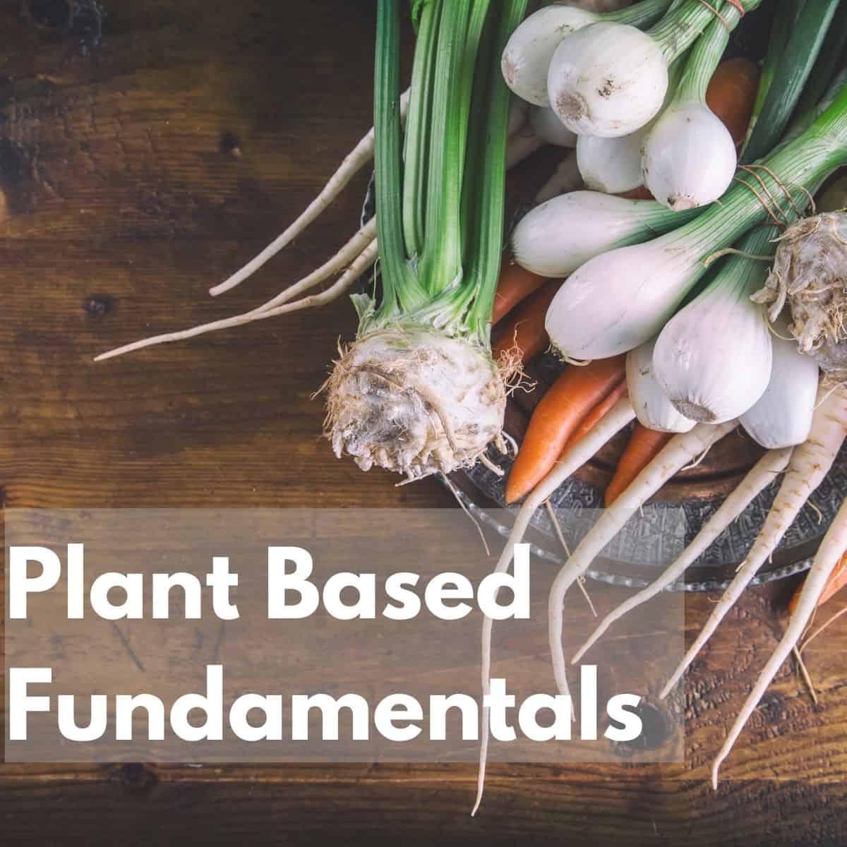 Plant Based Fundamentals