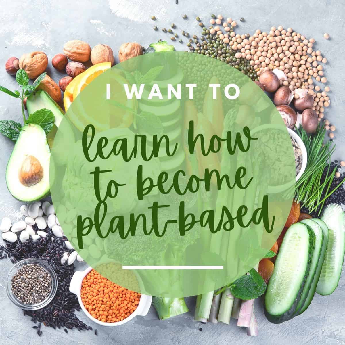 A guide to becoming plant based