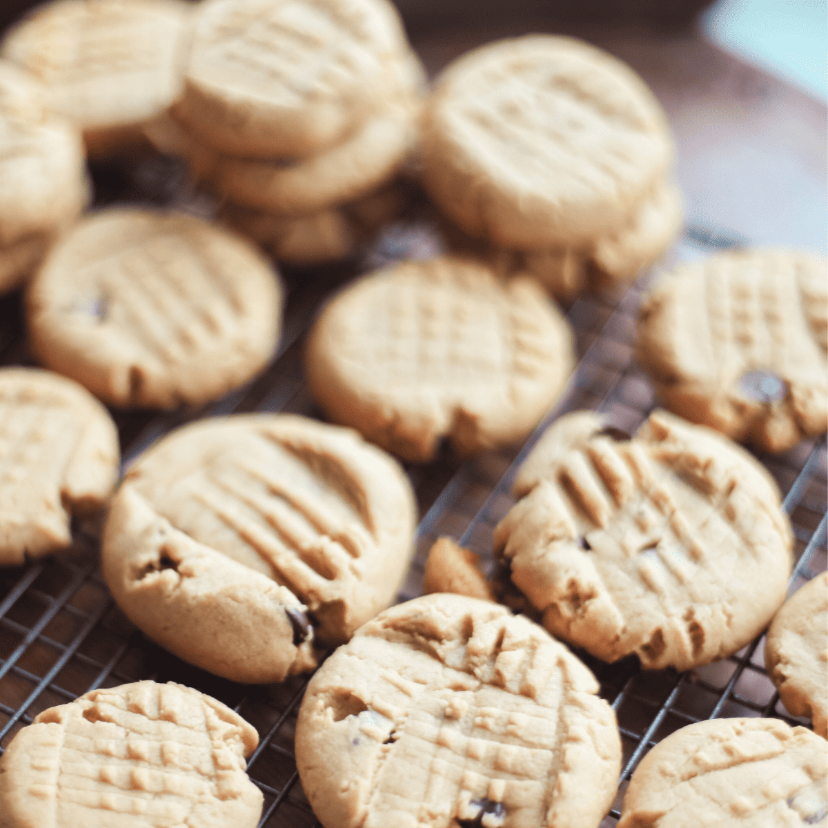A tray of vegan peanut butter cookies.