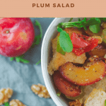 Bowl of plum salad