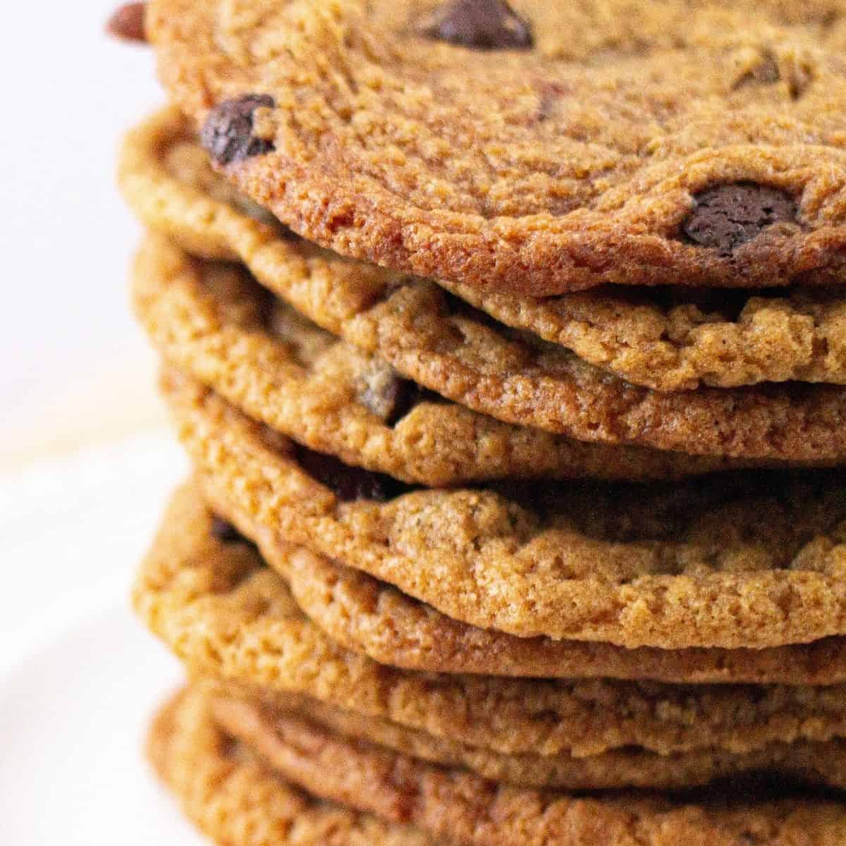 A close up of chocolate chip cookies