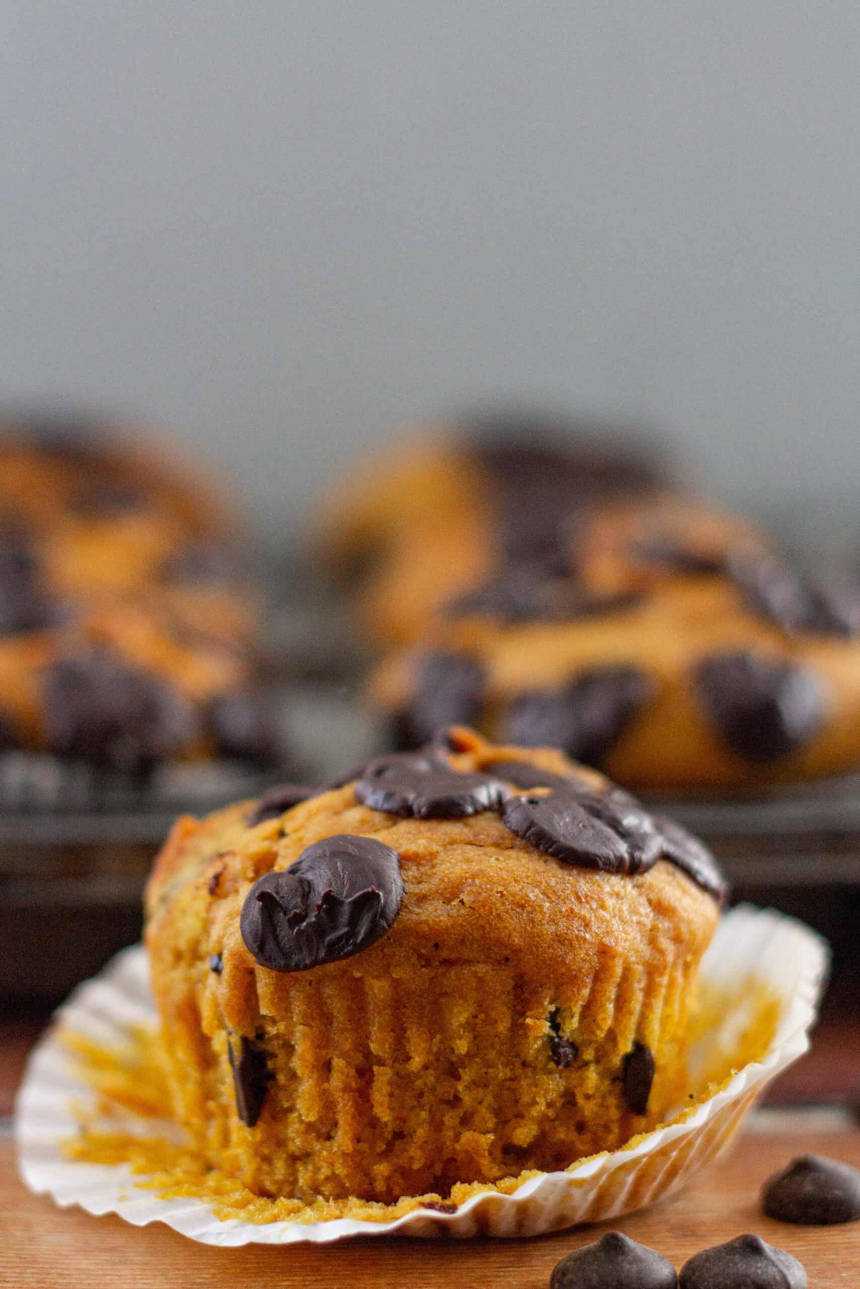 Pumpkin Muffins