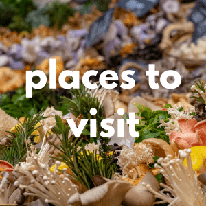 Places to Visit