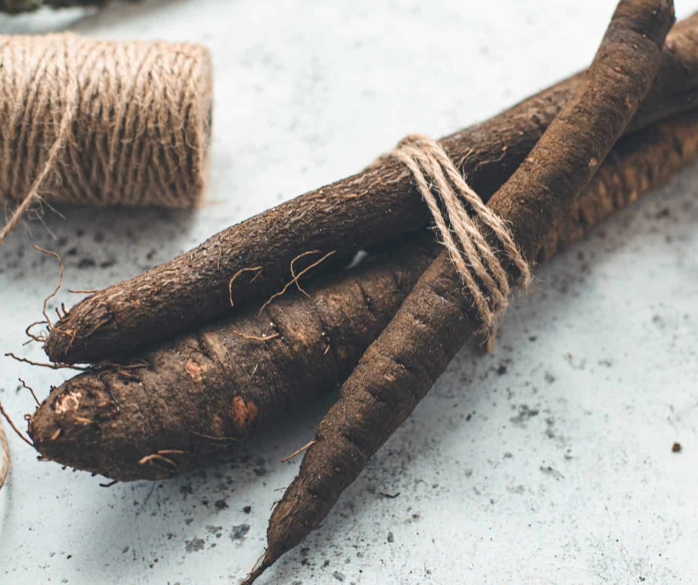 a bunch of raw salsify