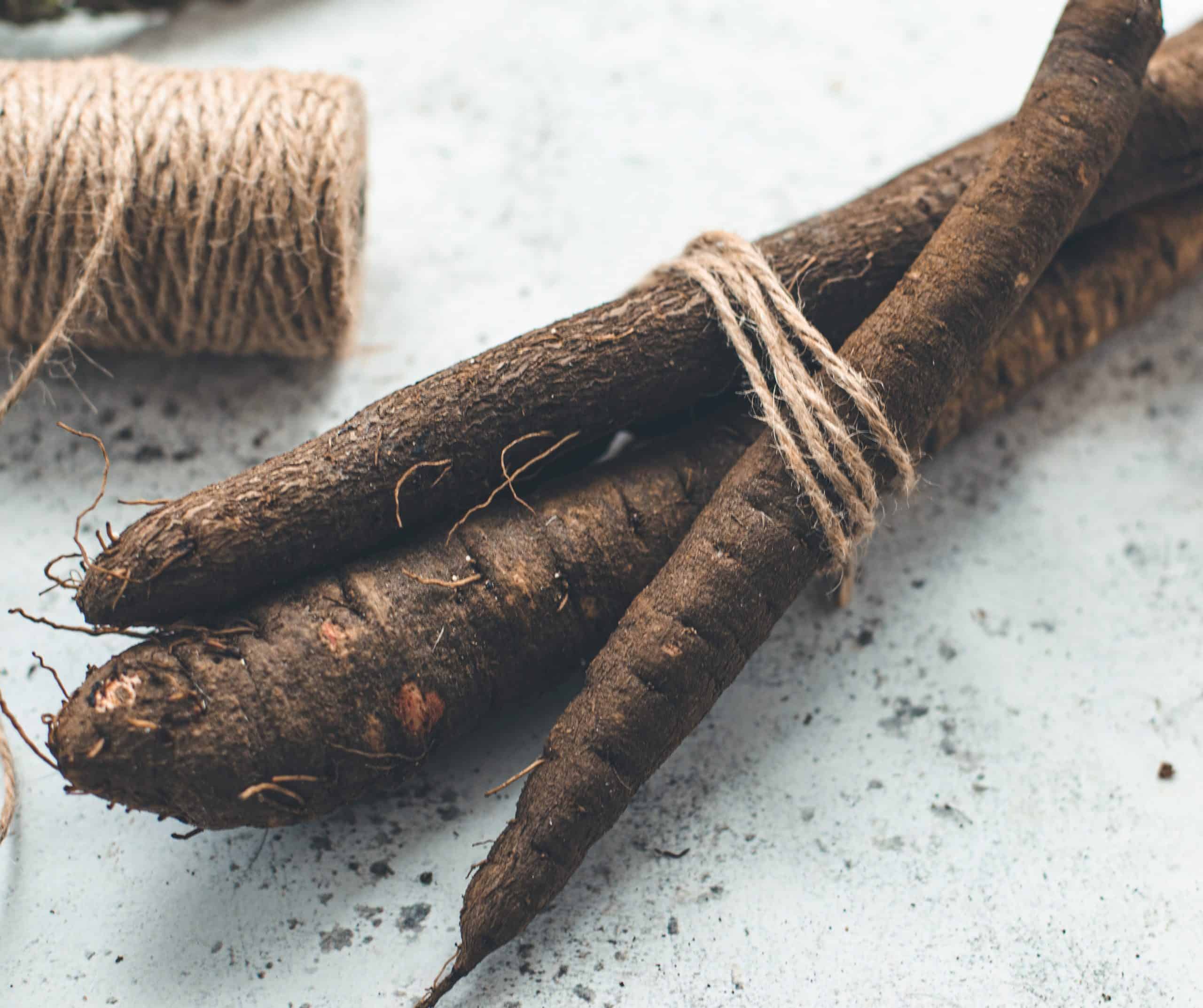How to Cook Salsify