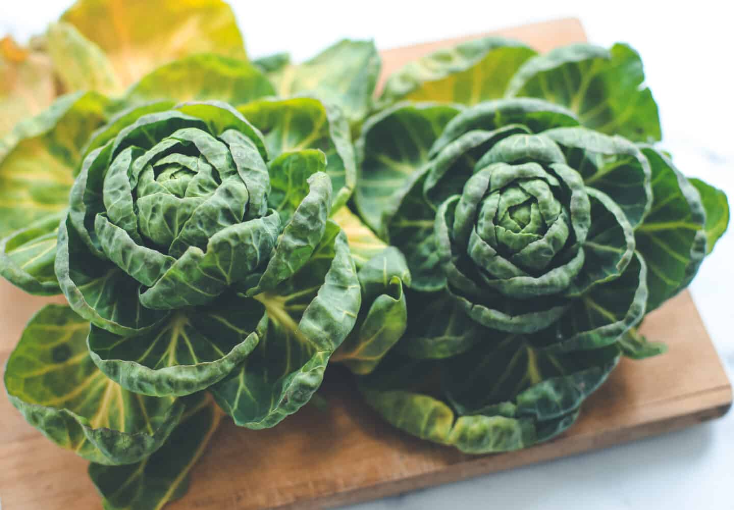 Some fresh brussels sprout tops