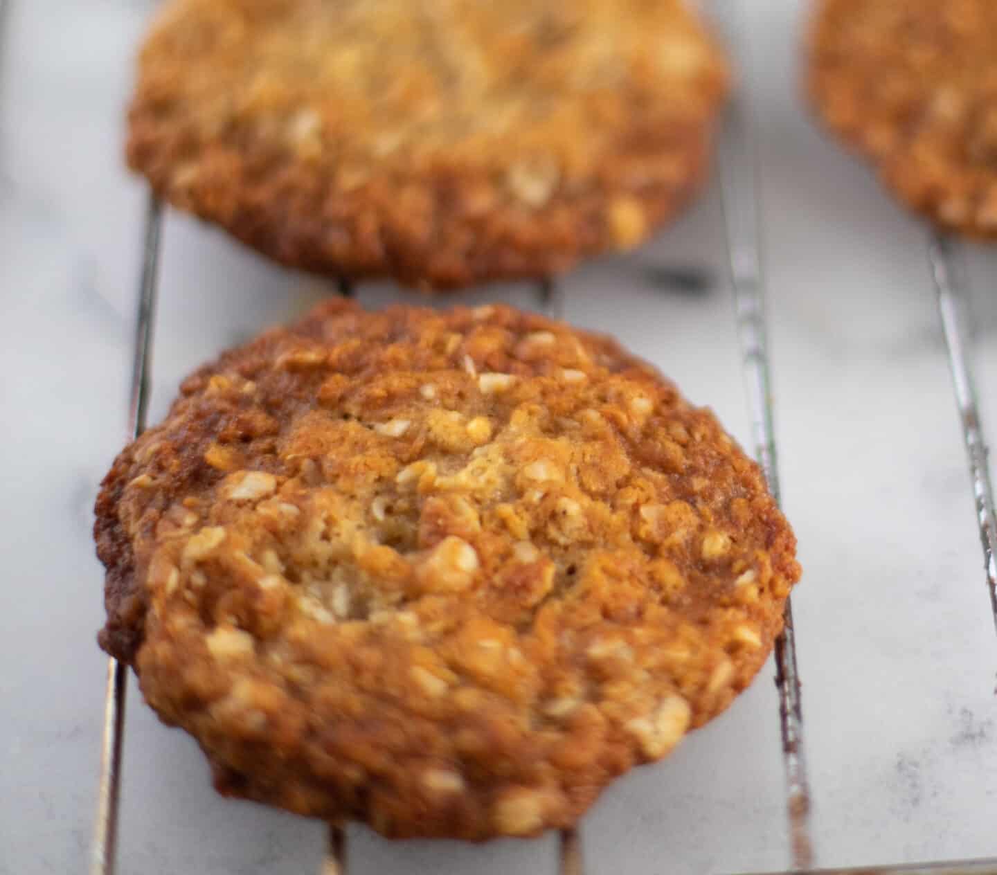 A single Anzac Cookie on a tray