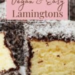 Vegan Lamingtons pin