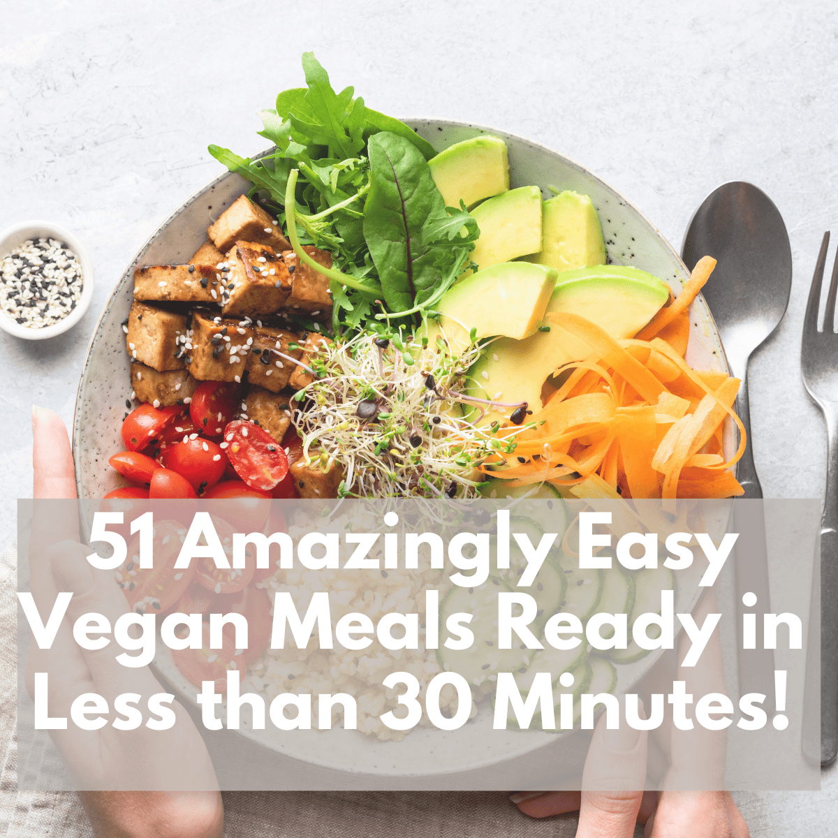 51 Easy Vegan Meals Ready in Less than 30 Minutes!