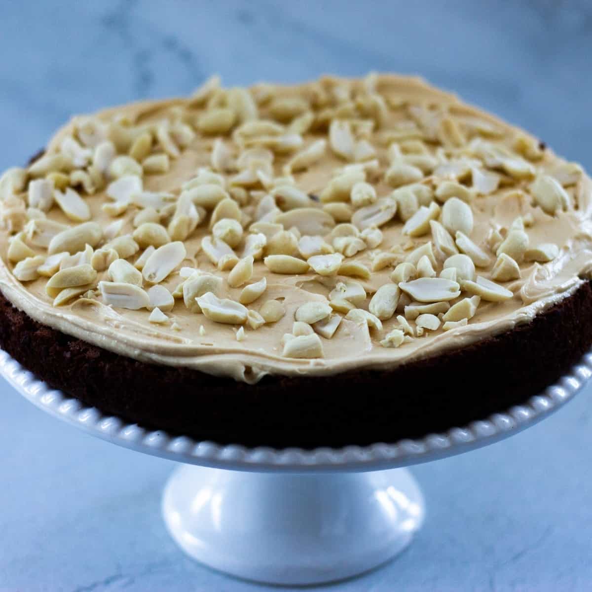 A vegan chocolate cake on a cake stand decorated with chopped peanuts