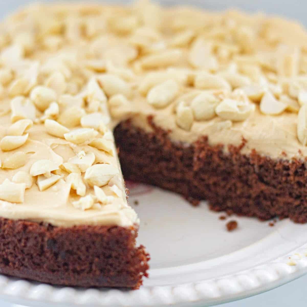 A vegan chocolate cake with nutty icing