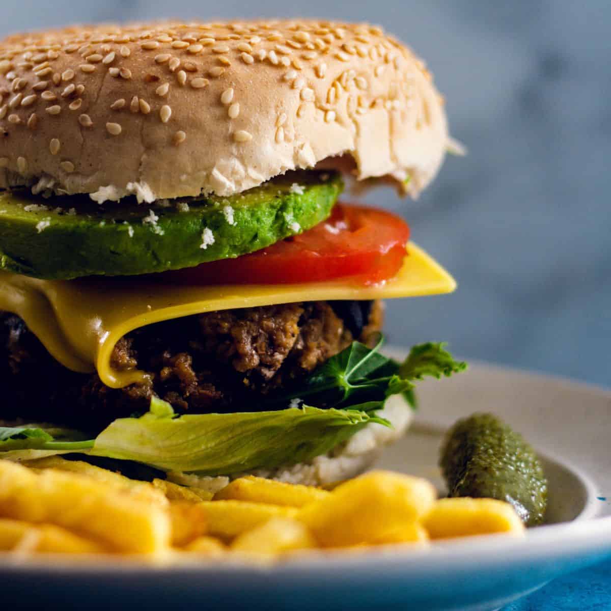 Veggie Burger in a bun with fries