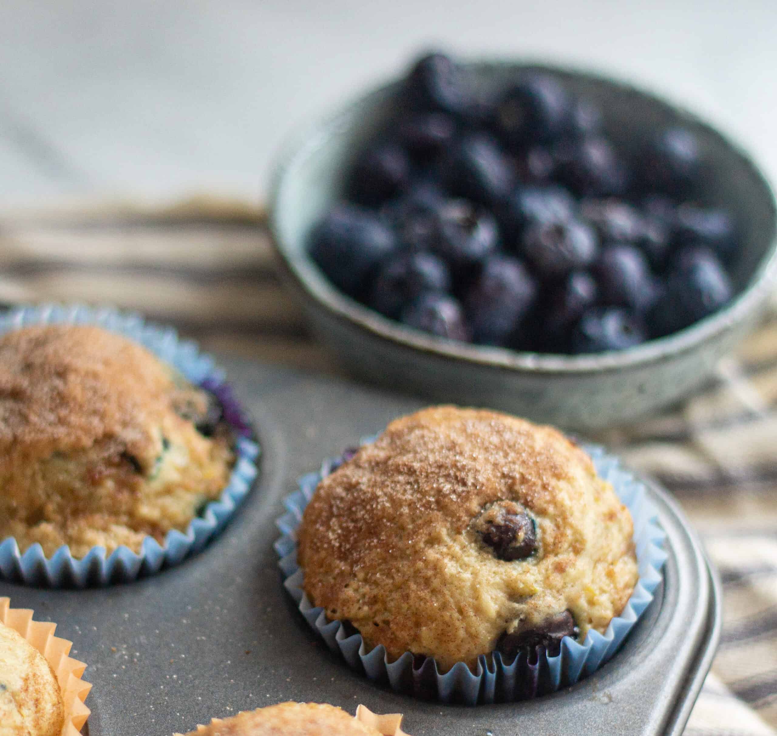 Easy fluffy vegan blueberry muffins