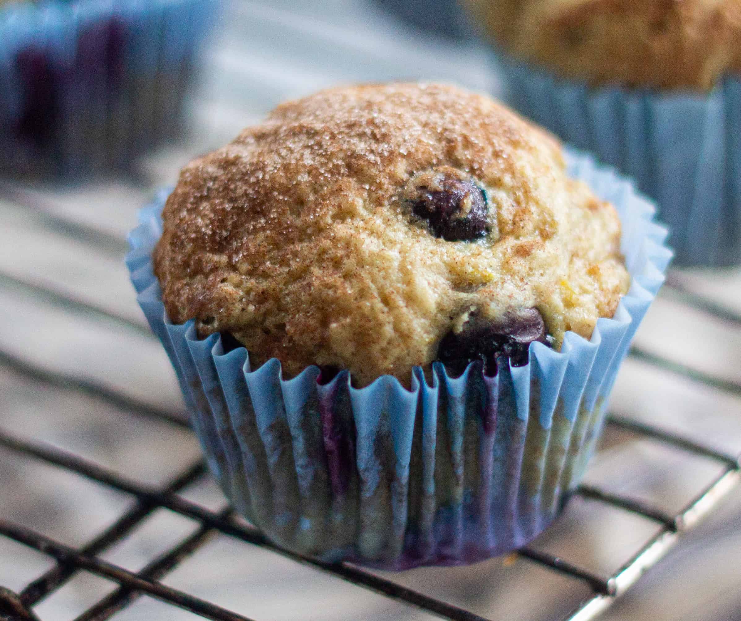 A single blueberry muffin on a cooling tray