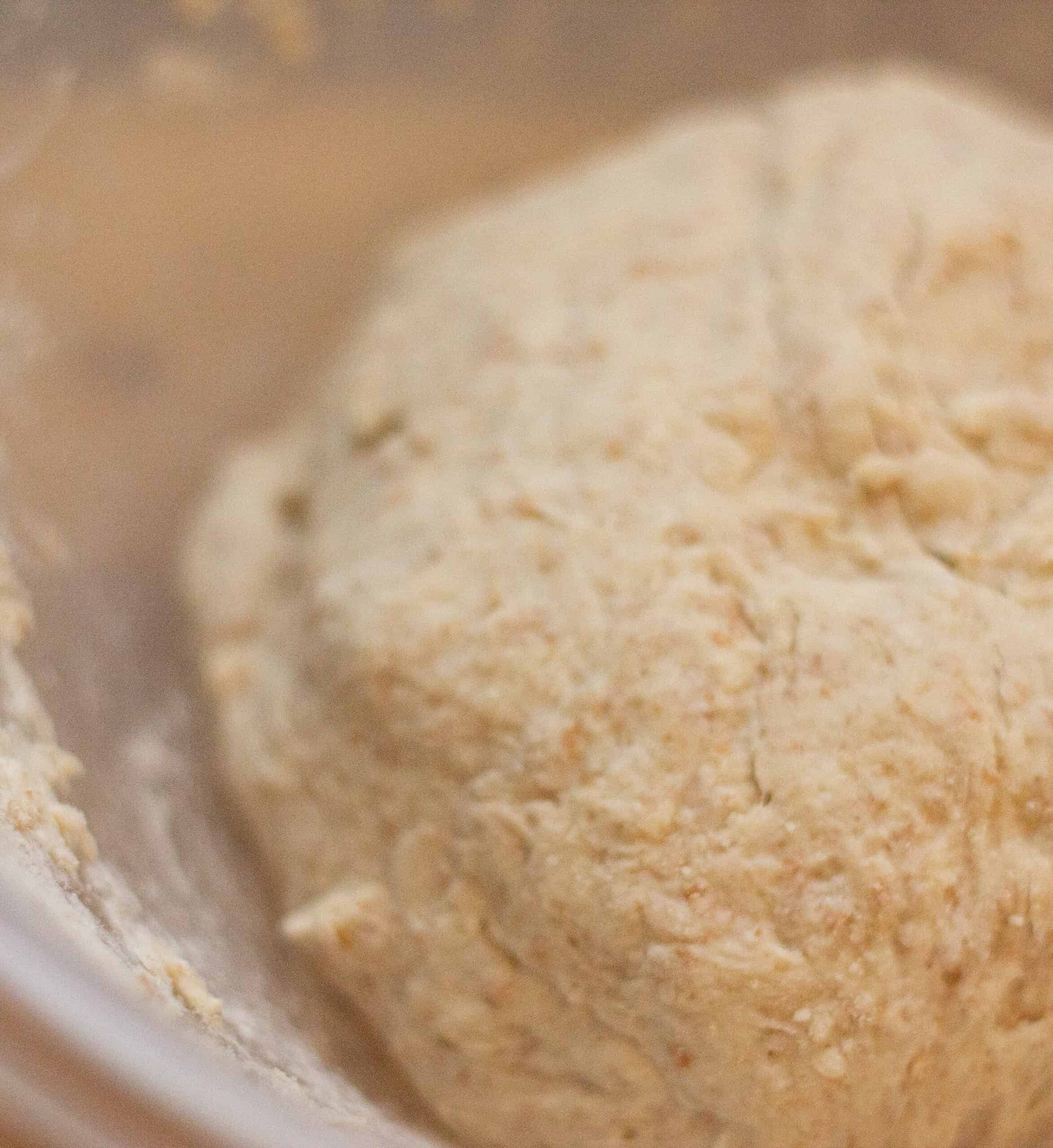 A ball of bread dough