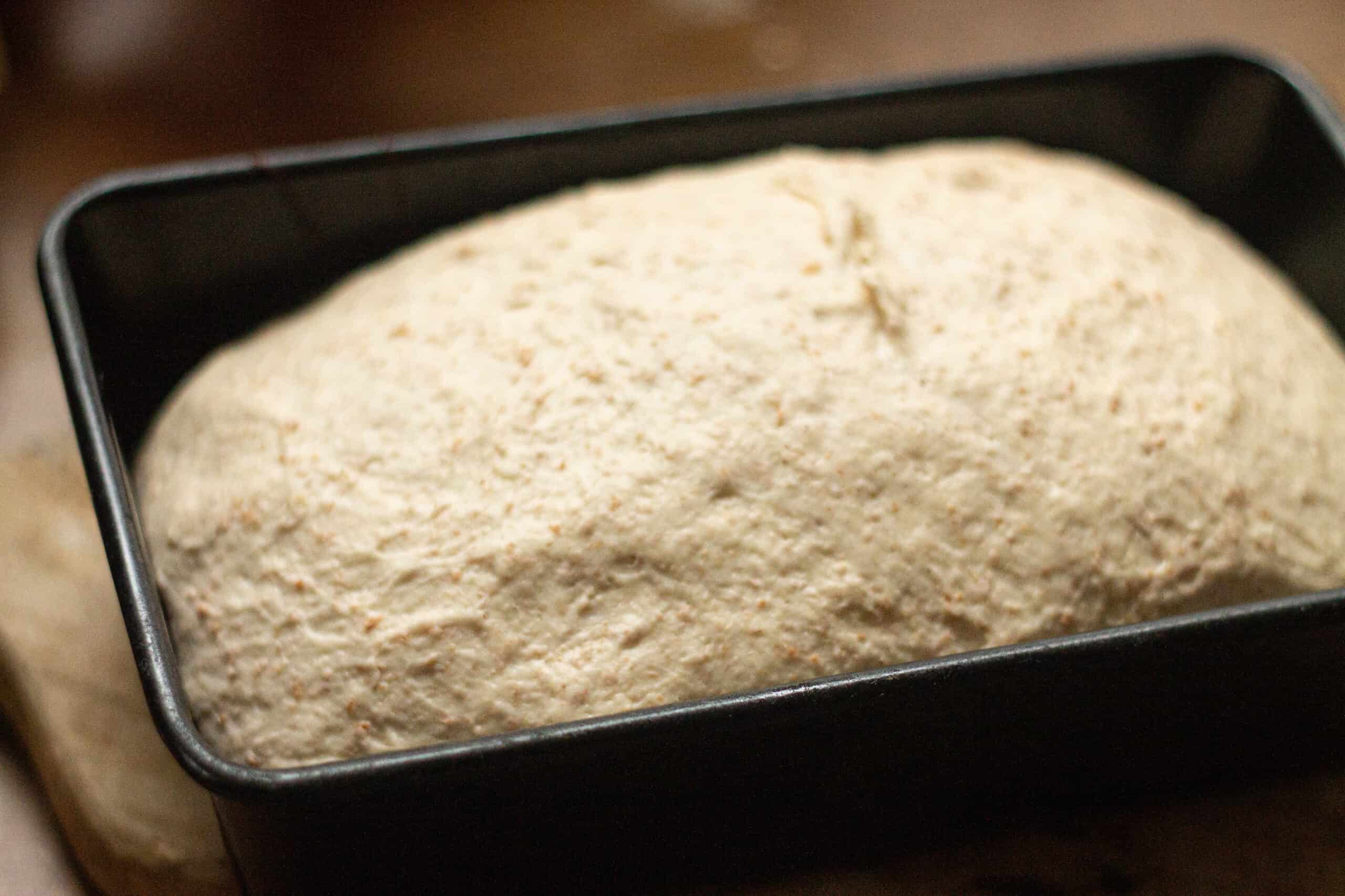 Dough ready to bake