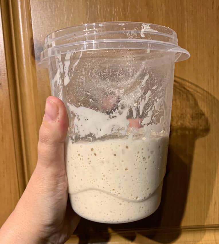 Day 7 of sourdough starter