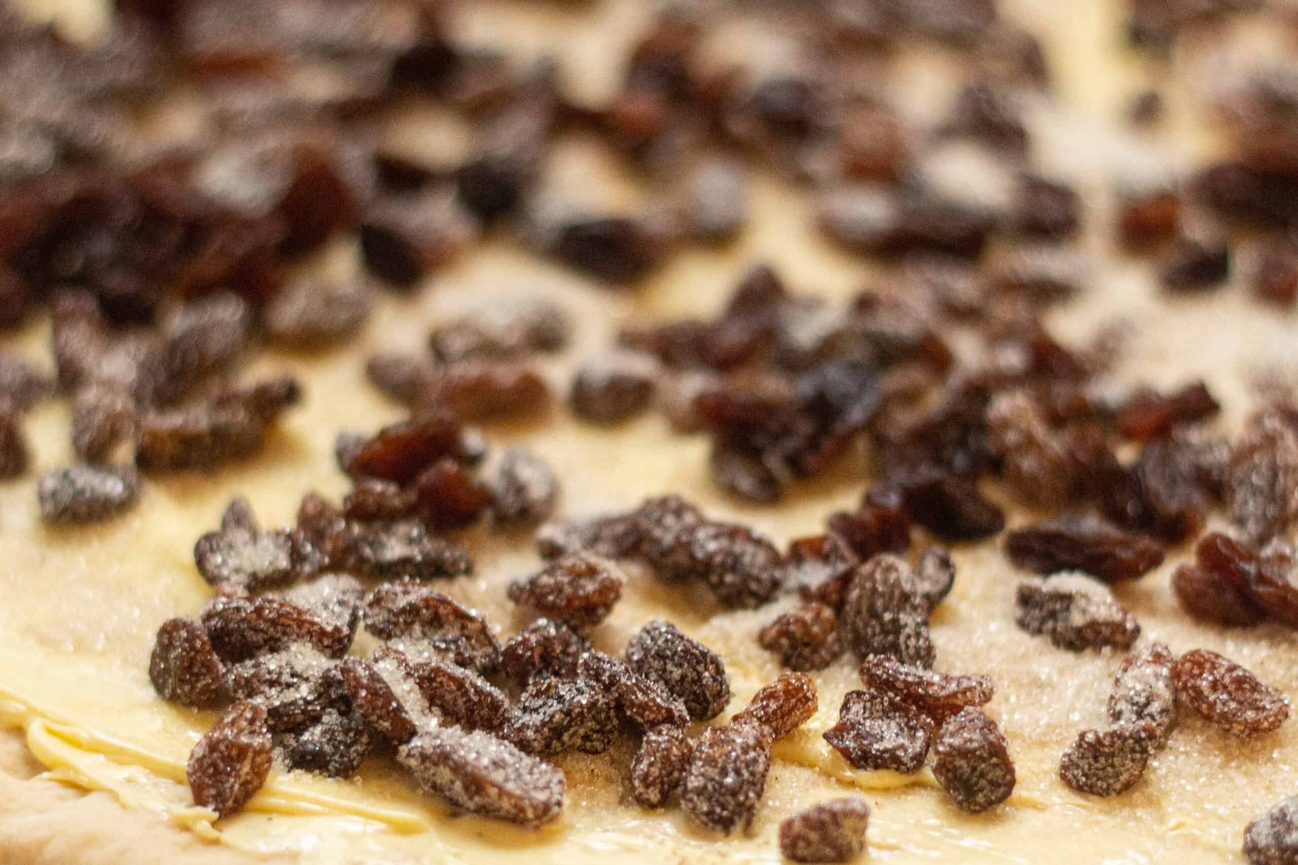 Raisins sprinkled onto rolled out chelsea bun dough