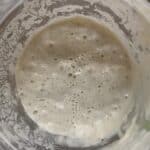 Bubbly sourdough starter