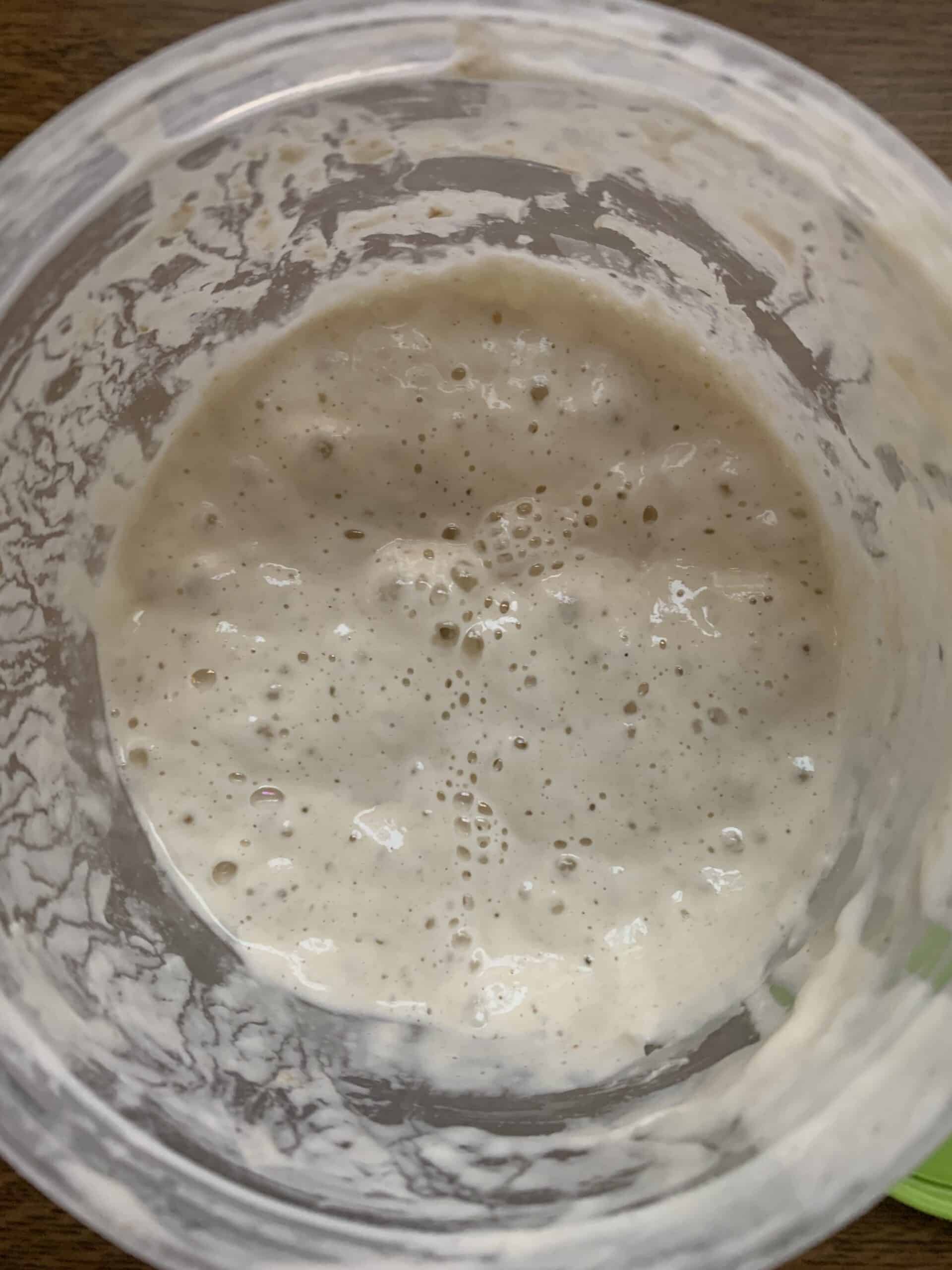 Bubbly sourdough starter