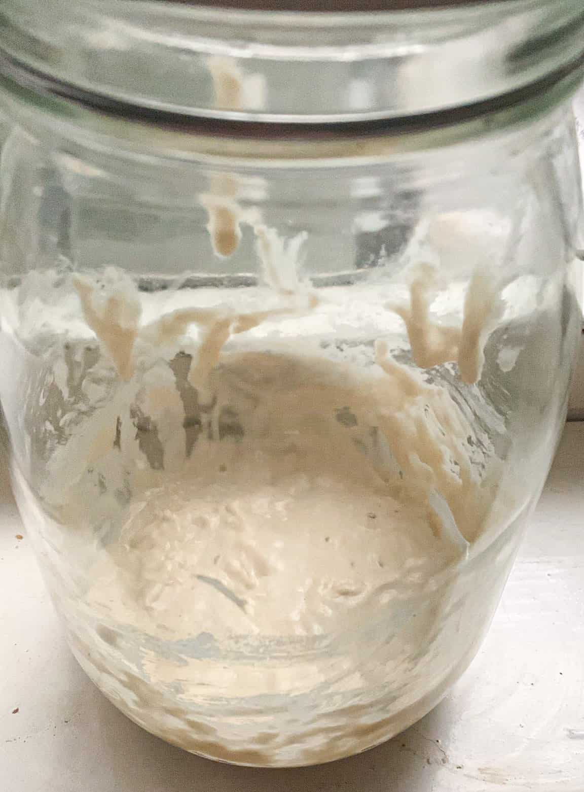 Day 1 of making sourdough starter