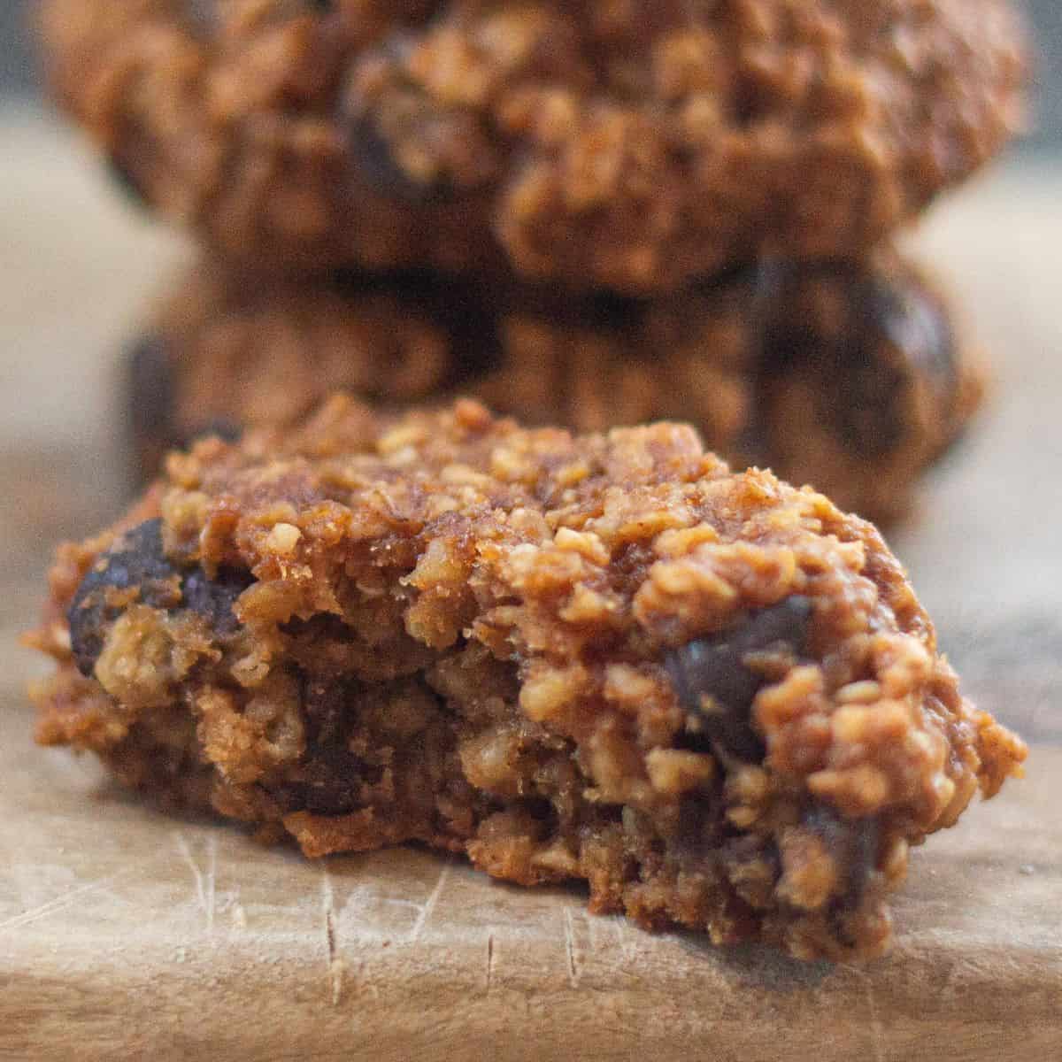 Vegan Oatmeal Flourless Cranberry Cookies (dairy-free, gluten-free and fat free)