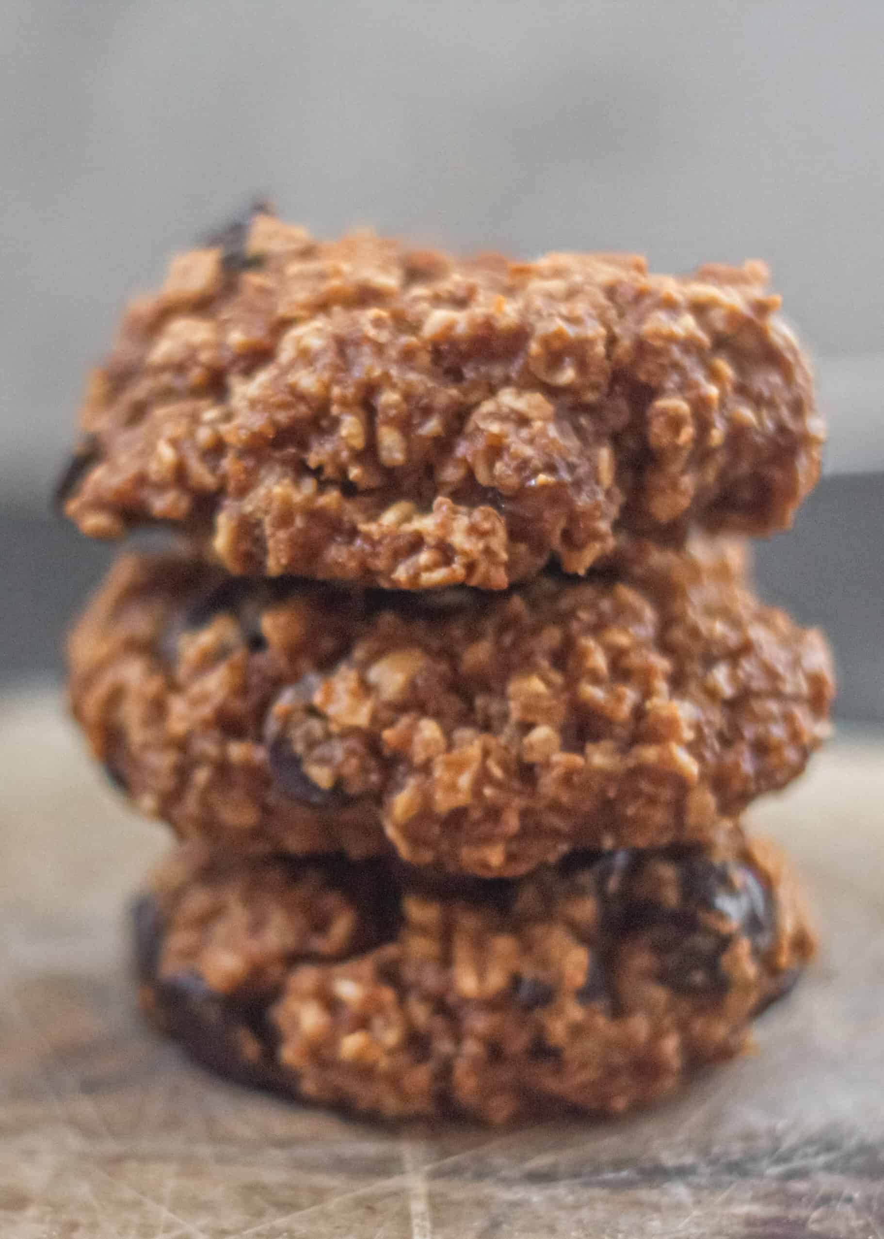 Fat free oatmeal cookies