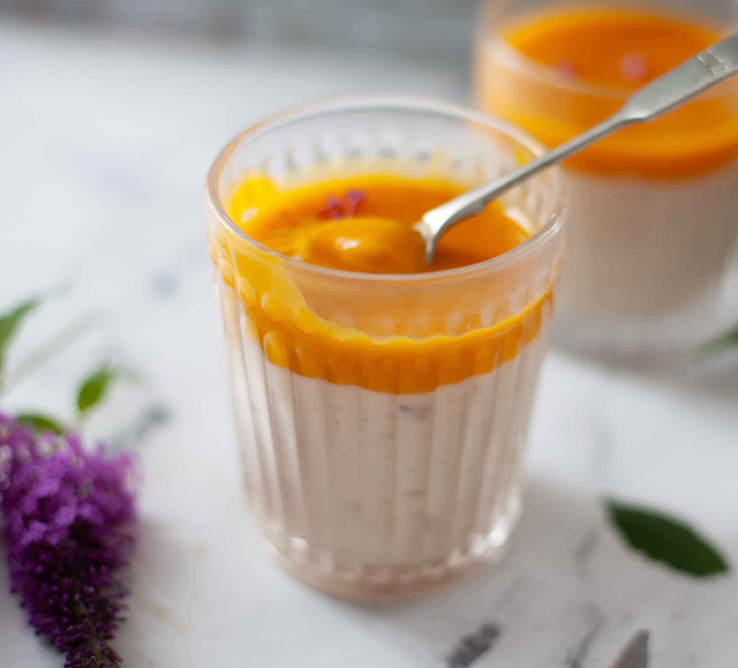 Tapioca pudding with a spoon