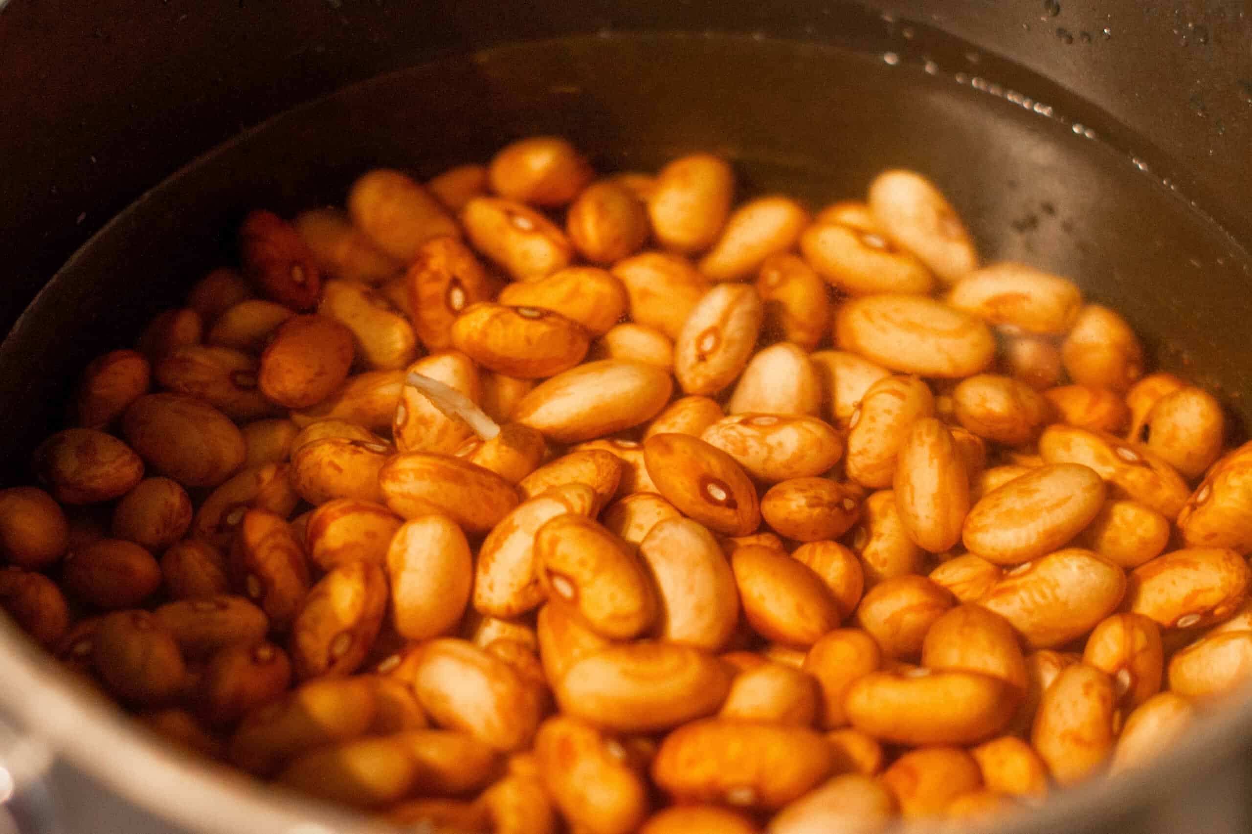 Simmering pinto beans