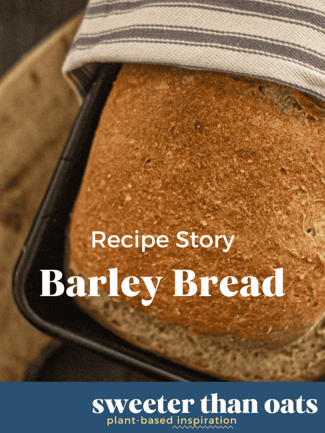 Elizabeth David’s Barley Bread recipe