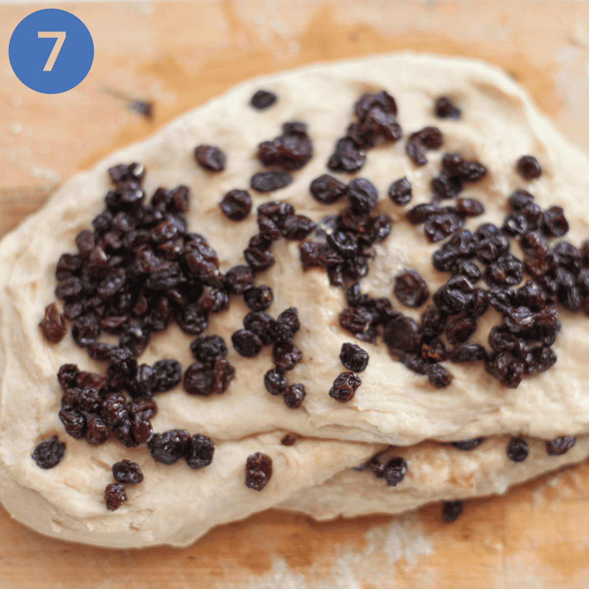 Adding currants to bread dough.